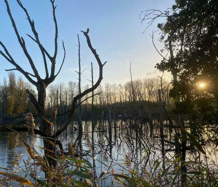 Durabrik en Natuurpunt bouwen aan 27.000m² natuur